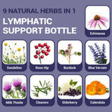 HARMONIFY - HARMONIFY Lymphatic Drainage Drops – Herbal Detox & Fluid Balance Support | Natural Blend with Elderberry, Burdock Root, Dandelion & Echinacea | Supports Immune & Circulatory Health | 2 fl oz (60 mL)