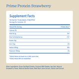 Equip Foods - Prime Protein: Vanilla (Low Sugar)