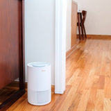 Crane USA - Crane True HEPA Air Purifier, 250 Sq Ft, Timer, Child Lock