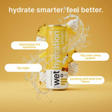 Wet Hydration - Pineapple Whip Colada 12 Pack