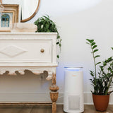 Crane USA - Air Purifier with UV Light & True HEPA for 500 sq. ft.: Chicago, Drop Ship, LA, Retail