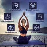 HARMONIFY - HARMONIFY Lymphatic Drainage Drops – Herbal Detox & Fluid Balance Support | Natural Blend with Elderberry, Burdock Root, Dandelion & Echinacea | Supports Immune & Circulatory Health | 2 fl oz (60 mL)